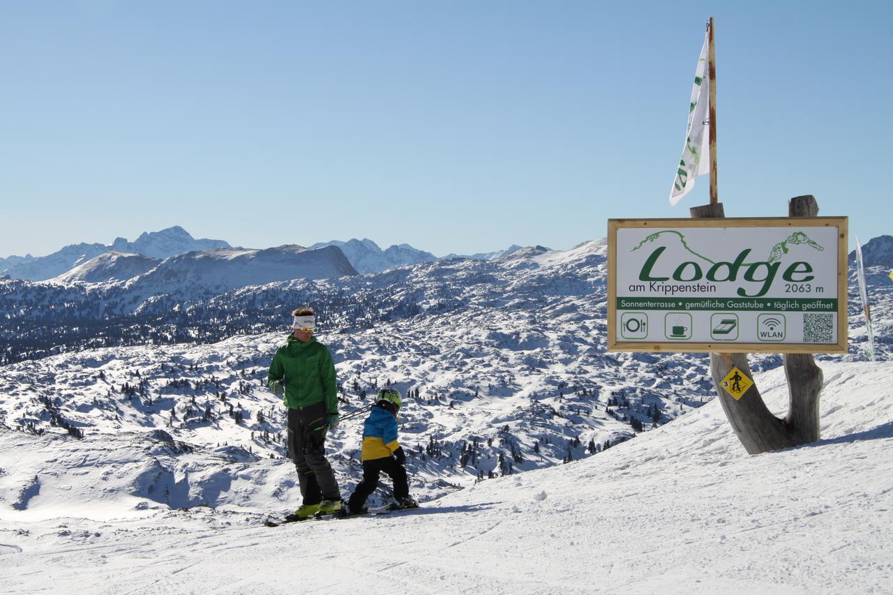 Lodge Am Krippenstein Obertraun Eksteriør billede